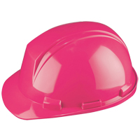 North&reg; Mont-Blanc Hardhat, Meets CSA Type 2, Ratchet Suspension, Non-Vented Seaboard Timber Mart