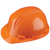 North&reg; Mont-Blanc Hardhat, Meets CSA Type 2, Ratchet Suspension, Non-Vented Seaboard Timber Mart