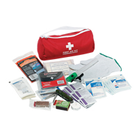 Trousse de premiers soins pour auto Dynamic, Dispositif m&eacute;dical Classe 1, Sac en nylon Seaboard Timber Mart