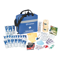 Dynamic Emergency Preparedness First Aid Kit, Class 1 Medical Device, Nylon Bag Seaboard Timber Mart