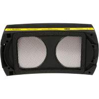 Speedglas Cartridge, P100 Filter, Pack of 1 Seaboard Timber Mart