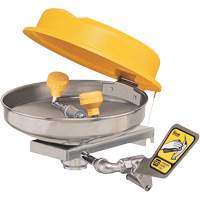 Poste de douche oculaire, Installation Montage mural, Bol Acier inoxydable Seaboard Timber Mart