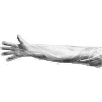 Disposable Gloves, Large, Polyethylene, 9-mil, Powdered, Clear Seaboard Timber Mart