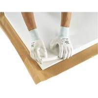 PX140 Coated Gloves, 6/X-Small, Polyurethane Coating, 15 Gauge, Nylon Shell Seaboard Timber Mart