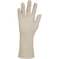 Gants d'examen XTRA-PFE, Grand, Latex, 10 mils, Sans poudre, Blanc, Classe 2 Seaboard Timber Mart