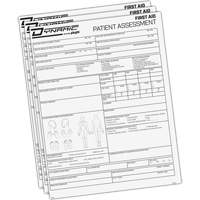 Dynamic Patient Assessment Chart Seaboard Timber Mart