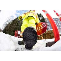 Aide &agrave; la traction robuste, Carbure de tungst&egrave;ne, Traction Crampon, Petit Seaboard Timber Mart