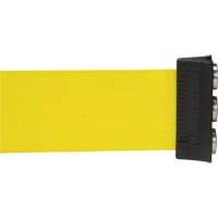 Wall Mount Barrier with Magnetic Tape, Steel, Screw Mount, 12', Yellow Tape Seaboard Timber Mart