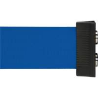 Wall Mount Barrier with Magnetic Tape, Steel, Screw Mount, 7', Blue Tape Seaboard Timber Mart