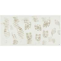 Ensemble de cadre et tapis pelables de salle blanche, &eacute;paisseur 1,57 mils, 18" la, 3' lo x Blanc Seaboard Timber Mart