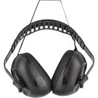 Earmuff