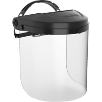 Dynamic Faceshield, PETG, Pinlock Suspension Seaboard Timber Mart