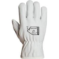 Gants de conducteur doubl&eacute;s pour l'hiver Endura, T-Grand, Paume en Cuir fleur de ch&egrave;vre, Thinsulate Seaboard Timber Mart