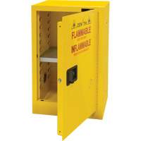 Flammable Storage Cabinet, 12 gal., 1 Door, 23" W x 35" H x 18" D Seaboard Timber Mart
