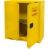 Flammable Storage Cabinet, 30 gal., 2 Door, 43" W x 44" H x 18" D Seaboard Timber Mart