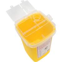 Sharps Container, 1 L Capacity Seaboard Timber Mart