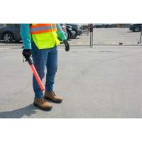 Safety Baton Light Seaboard Timber Mart