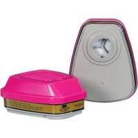 Cartridge, Combination Gas/Vapour Cartridge and Particulate Filter, Multi-Gas/Vapour/P100 Seaboard Timber Mart