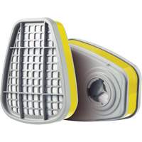 Cartridge, Gas/Vapour Cartridge, Multi-Gas/Vapour Seaboard Timber Mart