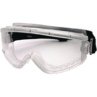 Lunettes &agrave; coques de s&eacute;curit&eacute; Cambridge, Lentille Transparent, Antibu&eacute;e, Ventilation Indirecte Seaboard Timber Mart