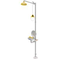 Combination Emergency Shower & Eyewash Station, Pedestal Seaboard Timber Mart