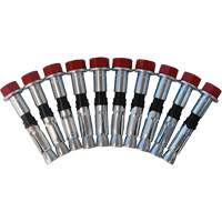 Jeu de boulons de rechange pour ancrages &agrave; anneau en D pour b&eacute;ton, Boulonn&eacute;, Usage Permanent/Temporaire Seaboard Timber Mart