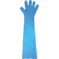 Disposable Gloves, Polyethylene, Powder-Free, Blue Seaboard Timber Mart