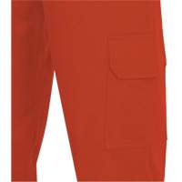 7765 Pantalon cargo de s&eacute;curit&eacute; haute visibilit&eacute; r&eacute;sistant aux arcs &eacute;lectriques FR-Tech 88/12, 30, x 32, Orange haute visibilit&eacute;, 10 cal/cm² Seaboard Timber Mart