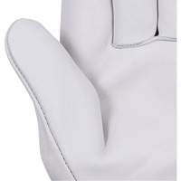 535G Gants de chauffeur beige, Petit, Paume en Cuir fleur de vache Seaboard Timber Mart