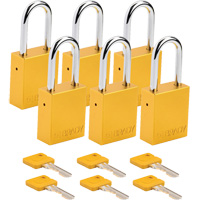 Lockout Padlock, Safety Padlock, Keyed Different, Aluminum, 1-1/2" Width Seaboard Timber Mart