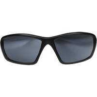 Robson Safety Glasses with Gasket, Silver Mirror Lens, Anti-Scratch/Polarized, ANSI Z87+/MCEPS GL-PD 10-12/Meets/Exceeds CSA Z94.3 Seaboard Timber Mart