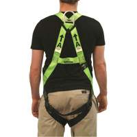FBH-10000L Contractor Series Safety Harness, CSA Certified, Class AL, 400 lbs. Cap. Seaboard Timber Mart