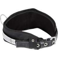 WB-6010-S Safety Restraint 1 D-Ring Belt with Padded Lumbar Support - Small Seaboard Timber Mart