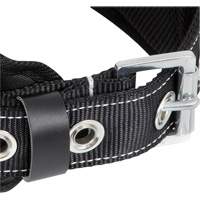 WB-6010-S Safety Restraint 1 D-Ring Belt with Padded Lumbar Support - Small Seaboard Timber Mart