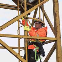 SA-54022-4 Longe &agrave; amortisseur de choc, 4', Point d'ancrage &agrave; Crochet d&eacute;chafaudage, Crochet mousqueton aux jambes, Polyester Seaboard Timber Mart