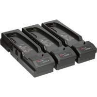 Versaflo 3-Station Battery Charger Pack for Versaflo TR-600 & TR-800 Seaboard Timber Mart