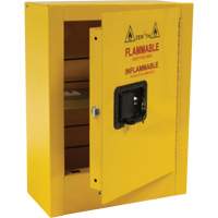 Mini Flammable Safety Cabinet, 2 Gal., 1 Door, 17" W x 22" H x 8" D Seaboard Timber Mart