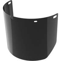 Lentille de rechange pour visi&egrave;re compl&egrave;te sans rev&ecirc;tement, Polycarbonate, Teinte 5,0 Seaboard Timber Mart