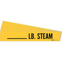 Marqueurs de tuyau LB. Steam, Autocollant, 2-1/4" h x 2-3/4" la, Noir sur jaune Seaboard Timber Mart
