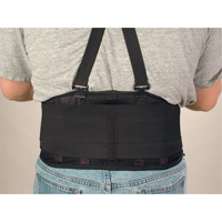 Spanbak&reg; Belts, Elastic, Medium Seaboard Timber Mart