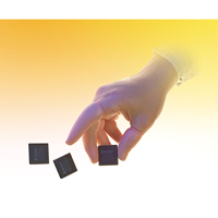 Doigtiers antistatiques en latex pour salles propres QRP Seaboard Timber Mart