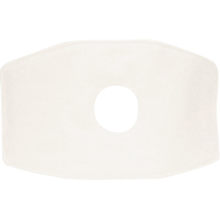 North&reg; Replacement Filter, Particulate Filter, N99 Filter Seaboard Timber Mart