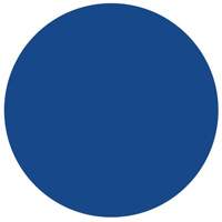 Round Write-On Labels, Circle, 1.5" L x 1.5" W, Blue Seaboard Timber Mart