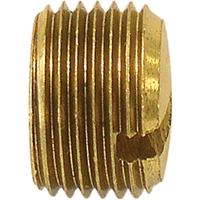 Bouchon de tuyau (avec fentes), 1/8" dia., Laiton Seaboard Timber Mart