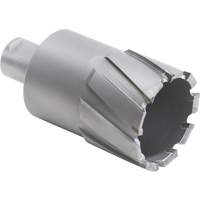 Couteau annulaire avec coupe &agrave; &acirc;me, Diam&egrave;tre de 1/2", Carbure, Profondeur de la coupe de 1-1/2", Tige 3/4" Seaboard Timber Mart