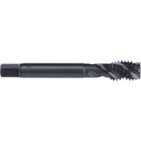 Taraud &agrave; cannelure en spirale 45°, Acier rapide au cobalt, Filet de 7/8"-9, 4-11/16" l Seaboard Timber Mart