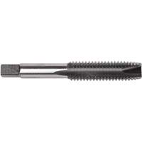 Taraud &agrave; pointe spiral&eacute;e style d&eacute;gag&eacute;, Acier rapide, Filet de 1/2"-13, 3-3/8" l Seaboard Timber Mart