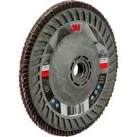 769F Quick Change Flap Disc, 5" x 5/8"-11, Type 29, 120+ Grit, Ceramic Seaboard Timber Mart