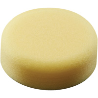 Polishing Pad, 3" Dia. Seaboard Timber Mart