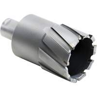 Outil de coupe annulaire, Diam&egrave;tre de 27,5 mm, Carbure, Profondeur de la coupe de 4" Seaboard Timber Mart